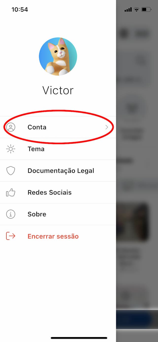 Passo 2 - Com o menu aberto, clique em Conta para abrir as informações da sua conta.